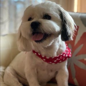 Meet your Posher, Lilia